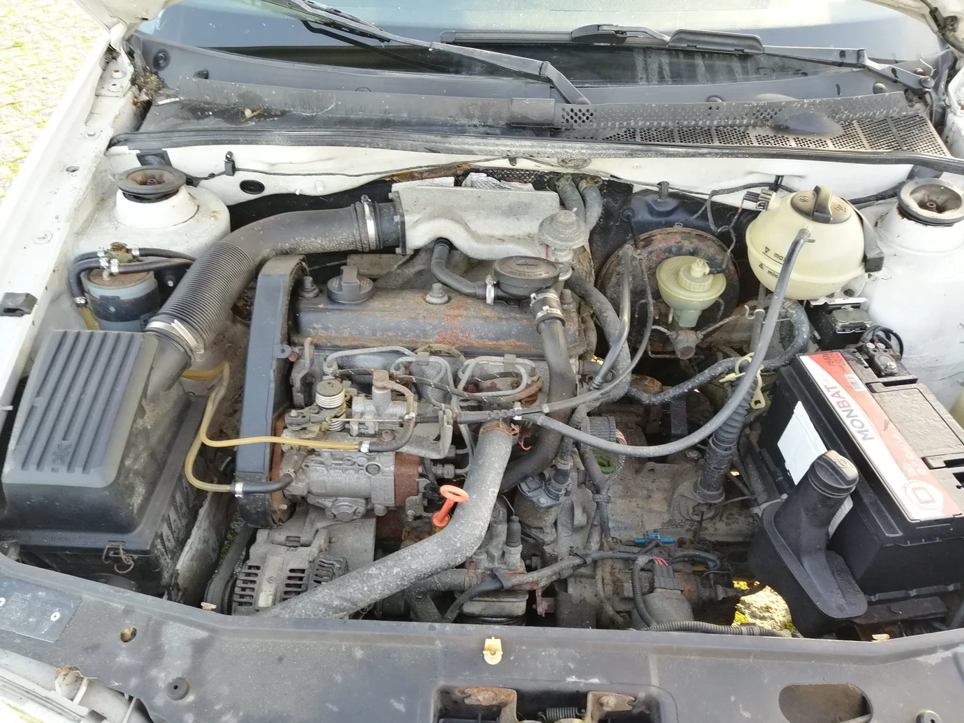 101786487 112452053824021 1245884431051259904 n