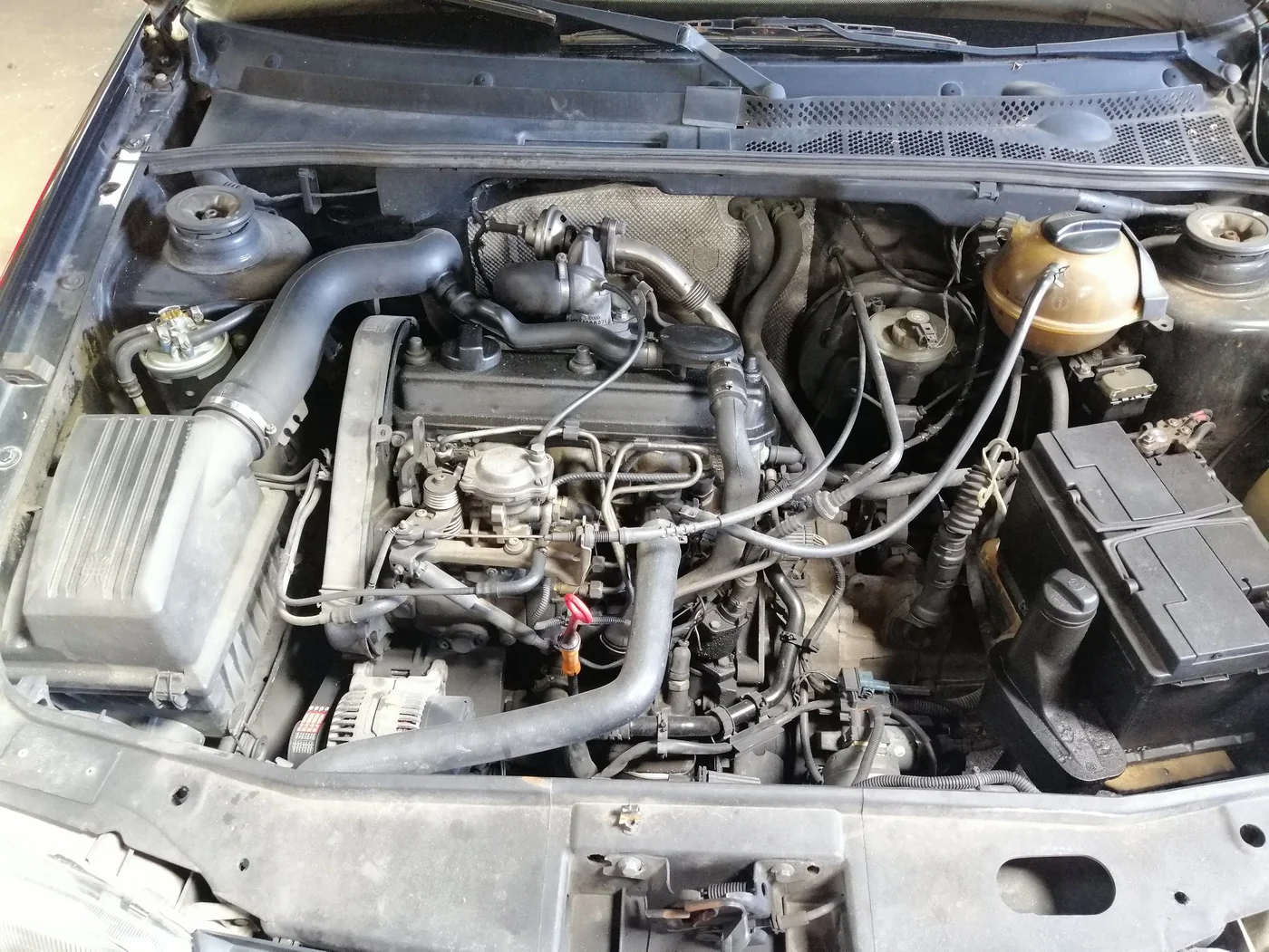 104128264 122937902775436 3460513369285880608 n