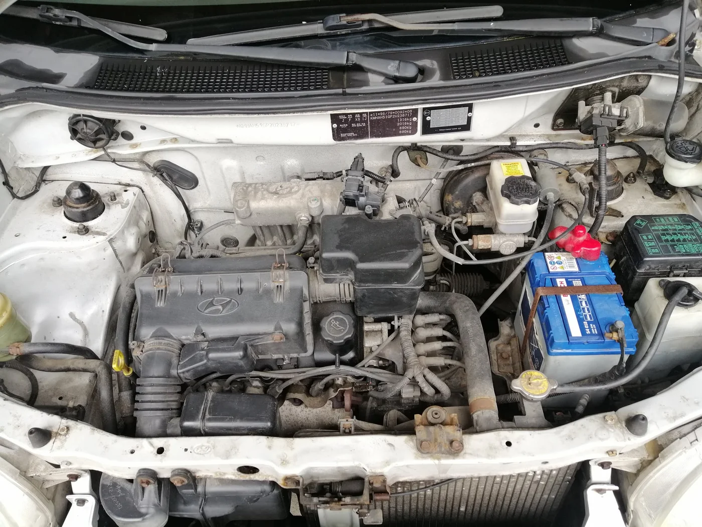 125348568 180055413730351 7744431024346914611 n