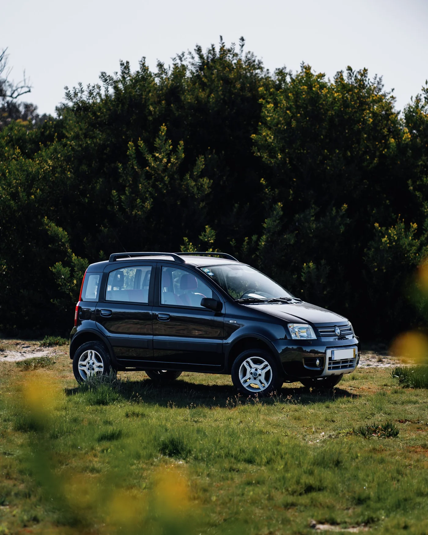 Fiat Panda Exterior 1