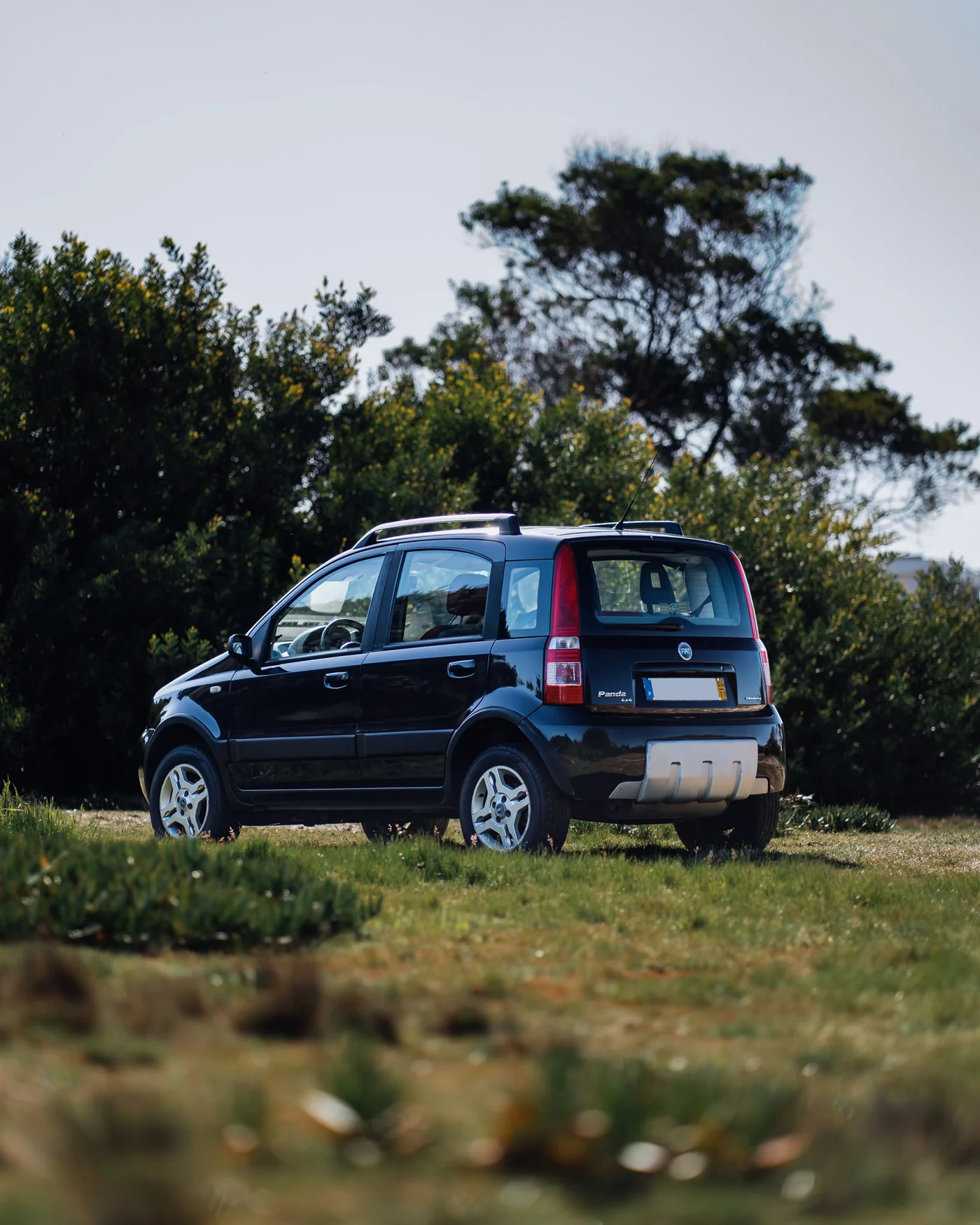 Fiat Panda Exterior 8